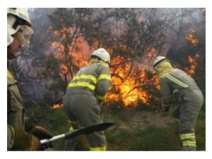 rechaza política materia incendios forestales Gobierno