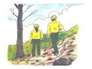 Servicio Extinción Incendios forestales todo el año