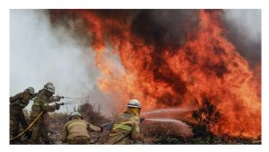 Medio Ambiente Orden de incendios 2018