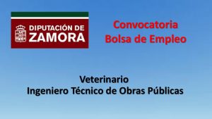 Bolsa Empleo veterinario ingeniero nov-2018