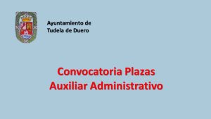 Ayto Tudela plaza aux admvo feb-2019