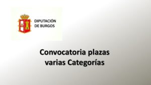 Dip Burgos varias plazas mar-2020