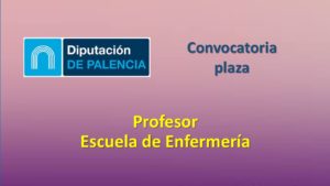 Dip Palencia profesor escuela enf nov-2020