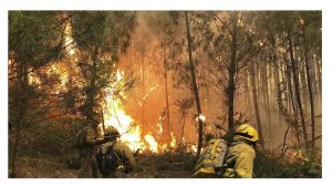 Gobierno cierra Campaña Incendios cien incendios activos Noroeste