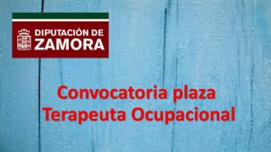 plaza terapeuta ocupacional jul-2018
